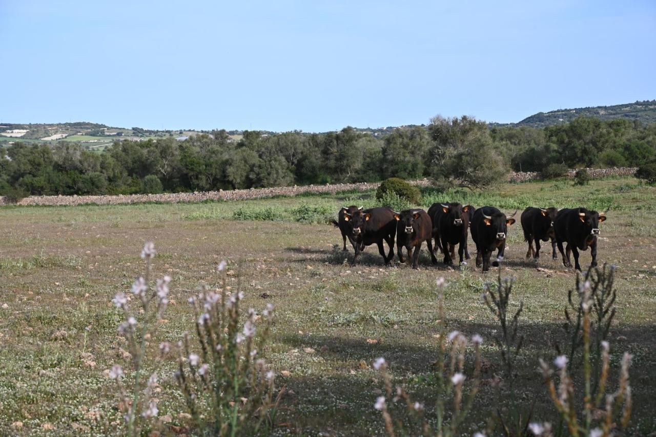 Séjour à la ferme Sa Cova Vella *