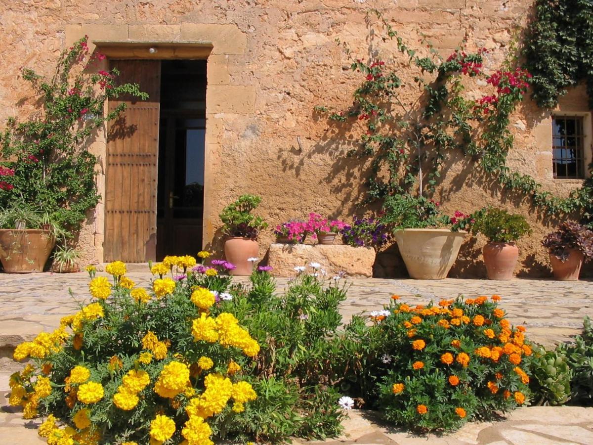 Feriegård Sa Cova Vella