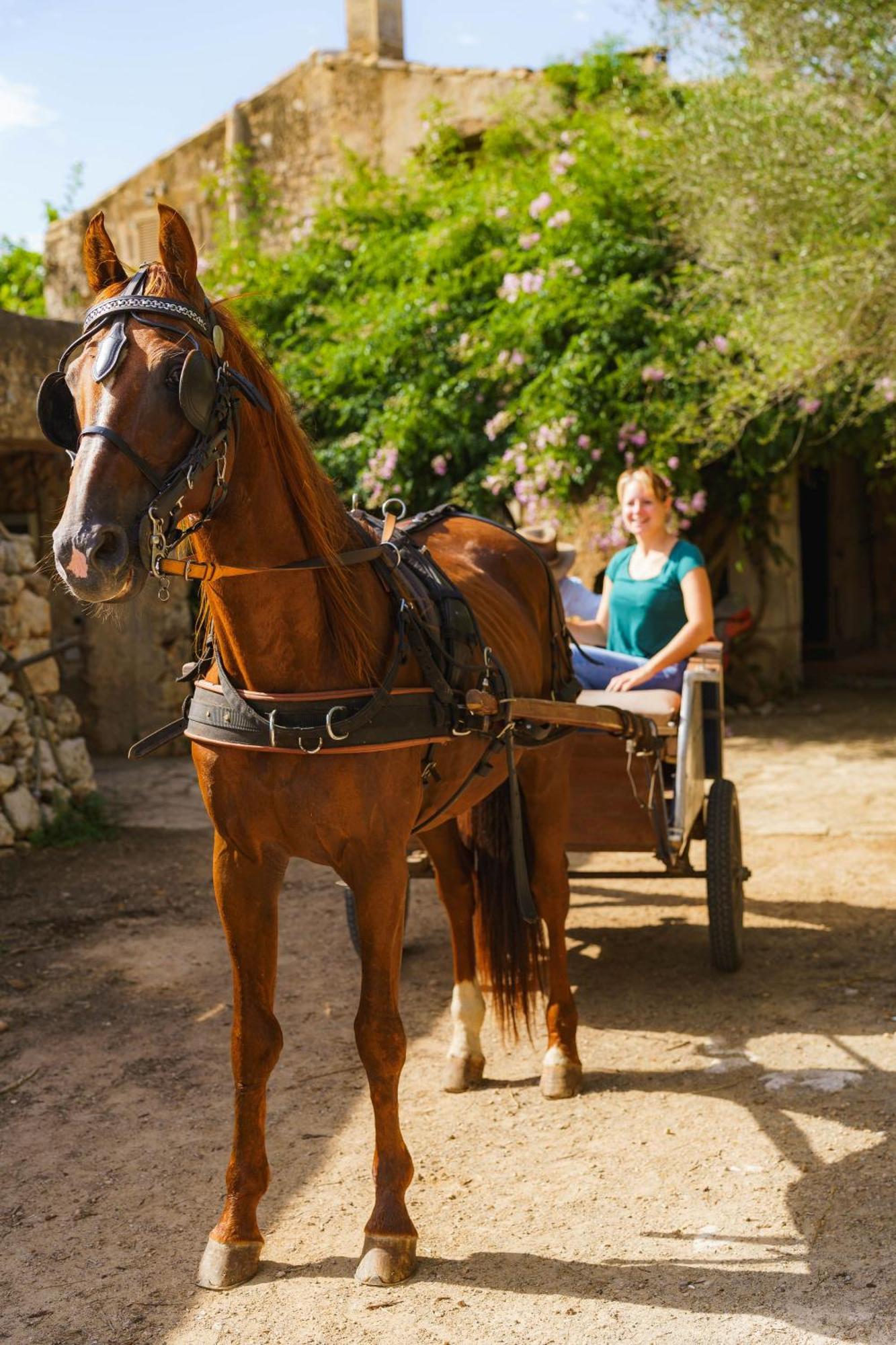 Sa Cova Vella Feriegård Manacor (Mallorca)