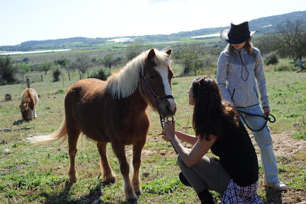 Sa Cova Vella Farm stay Manacor (Mallorca)