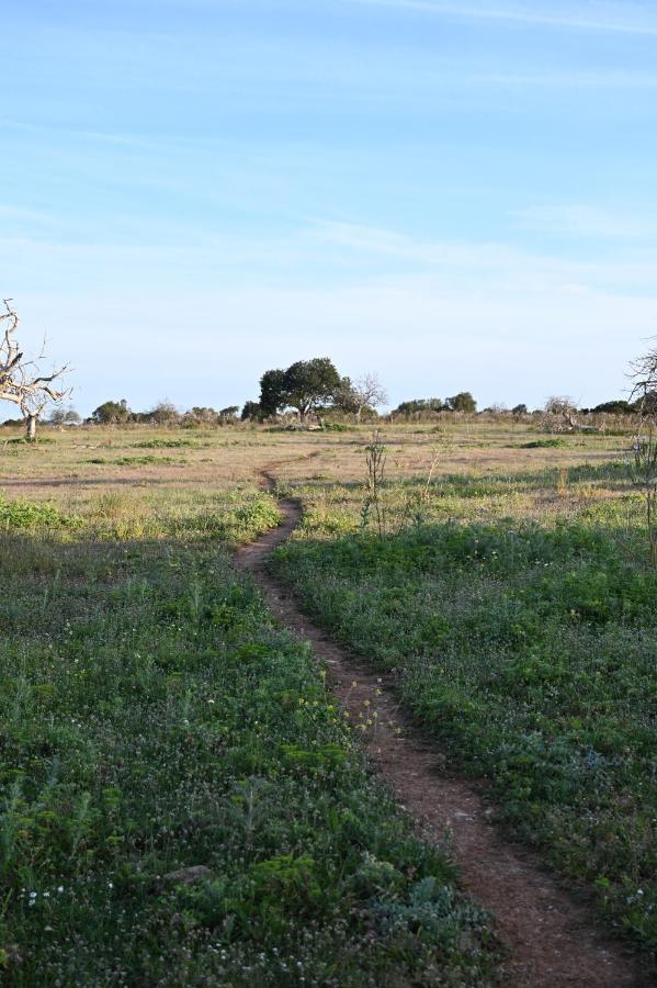 Farm stay Sa Cova Vella Manacor (Mallorca)
