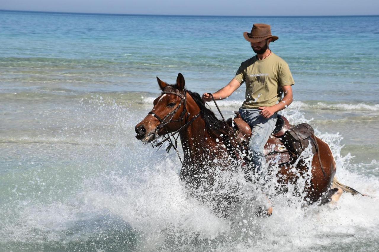 Farm stay Sa Cova Vella