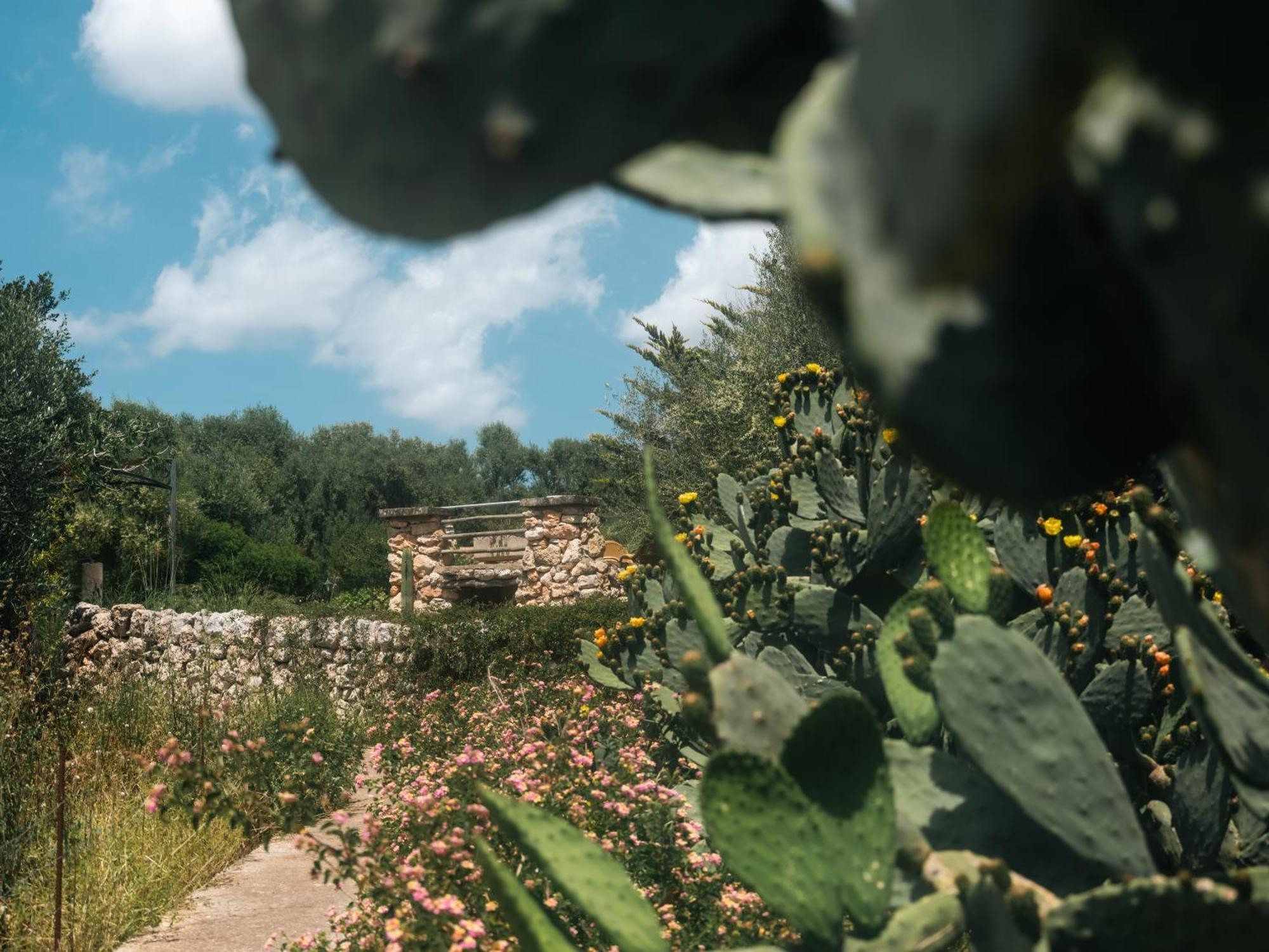 Sa Cova Vella Farm stay