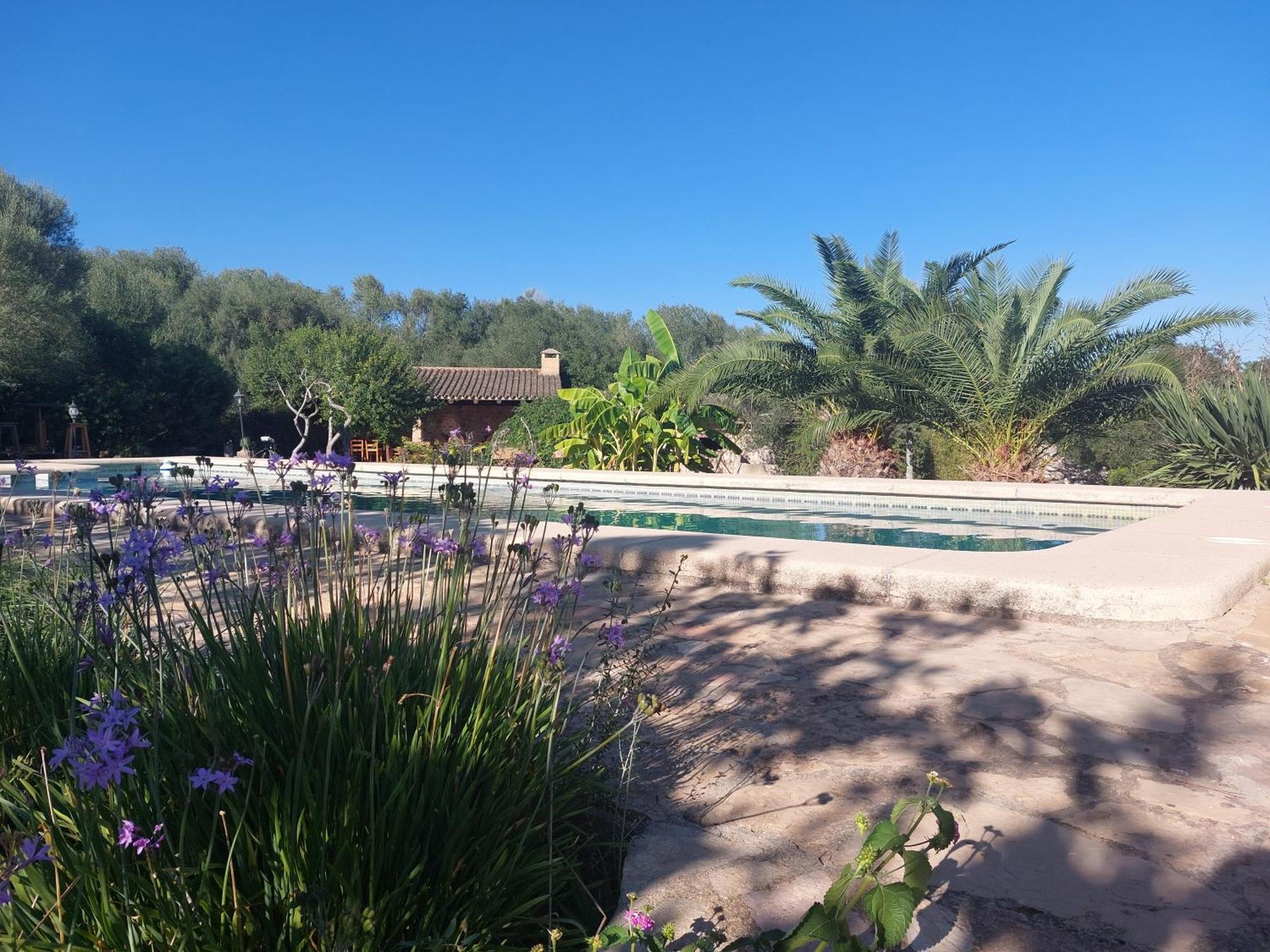 Sa Cova Vella Farm stay *