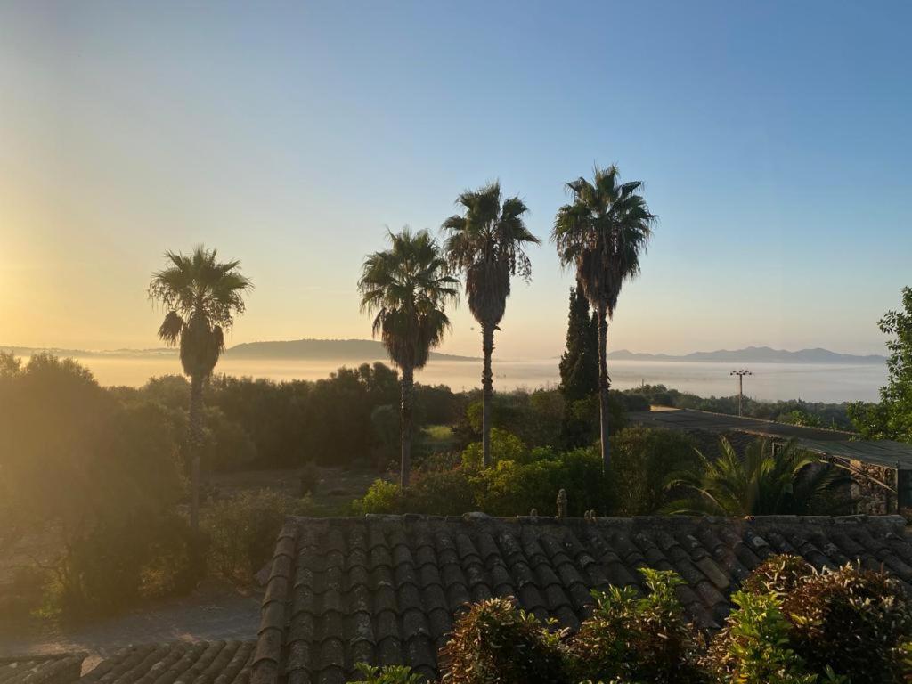 Farm stay Sa Cova Vella Manacor (Mallorca)